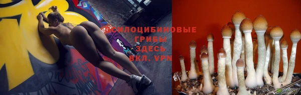 прущий лед Абаза