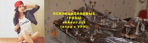 прущий лед Абаза