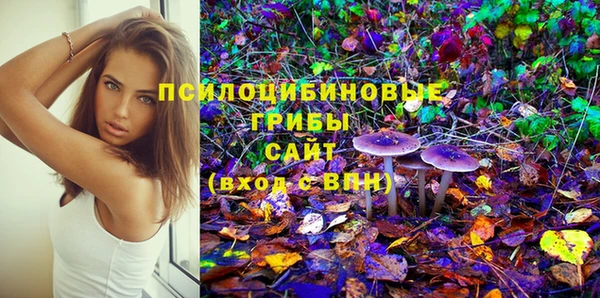 mdpv Няндома