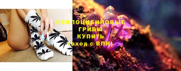 a pvp Бикин