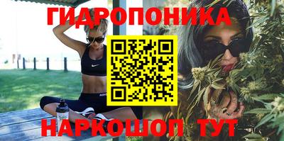 молекула духа Пугачёв