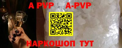 молекула духа Пугачёв