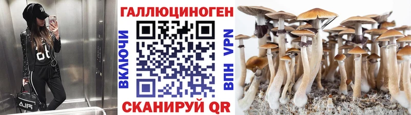 Псилоцибиновые грибы мухоморы купить наркоту Холмск